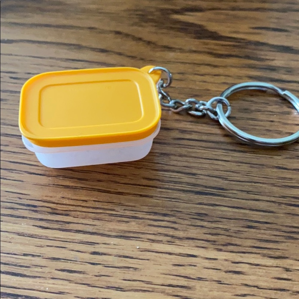 Tupperware Freezer mate keychain